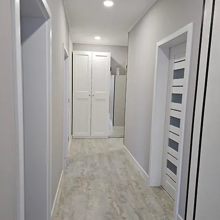 New4 אולומוץ